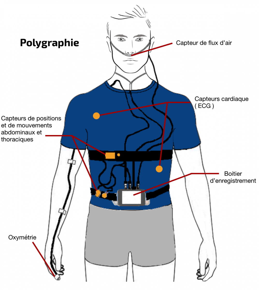 Polygraphie